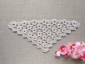 Chart 102 lace triangle crochet baktus scarf and shawl pattern PDF with decorative border.