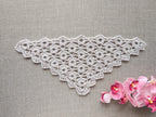 Chart 102 lace triangle crochet baktus scarf and shawl pattern PDF with decorative border.