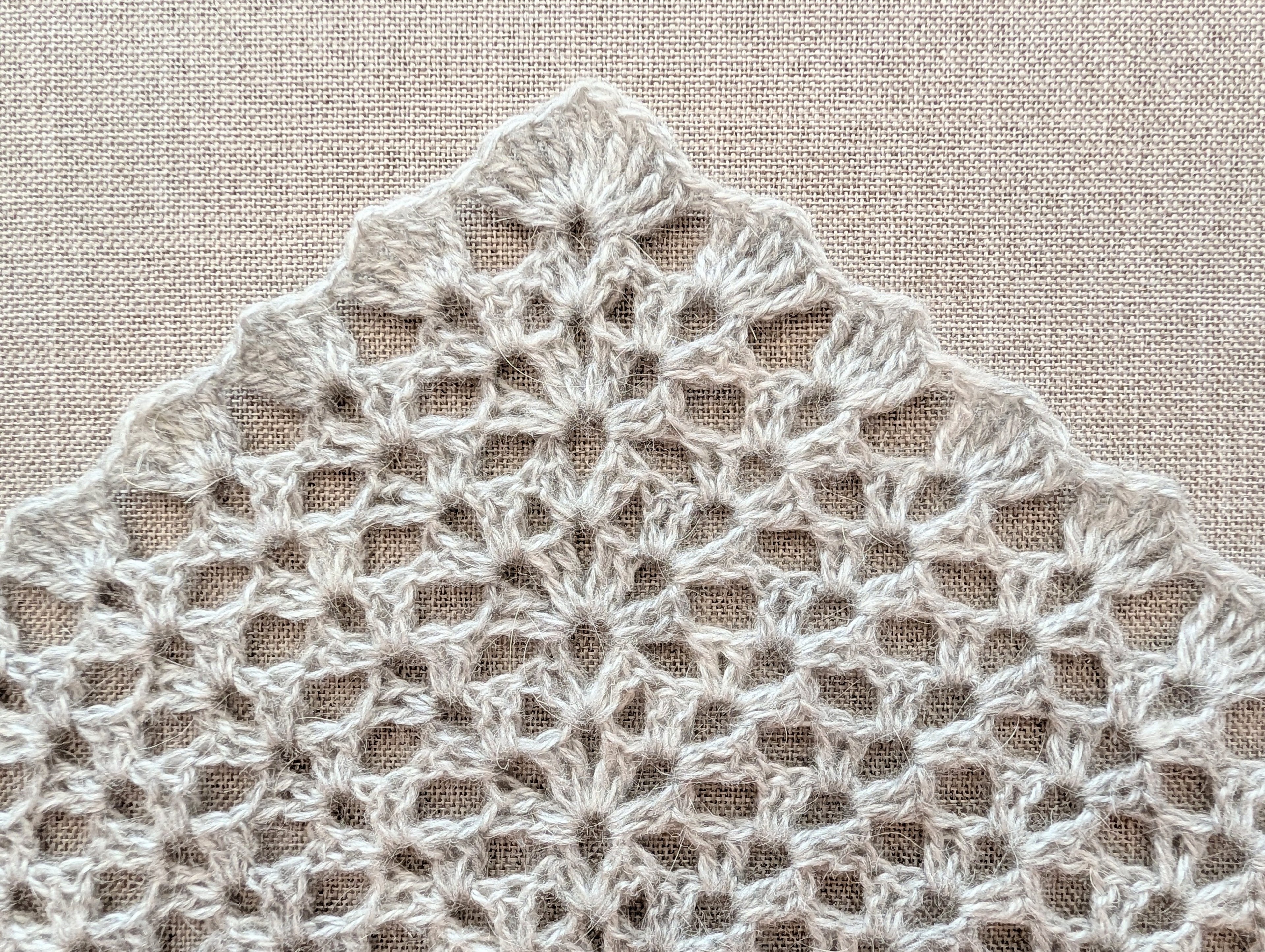 Lace Triangle Crochet Shawl PDF Chart #92 + Border