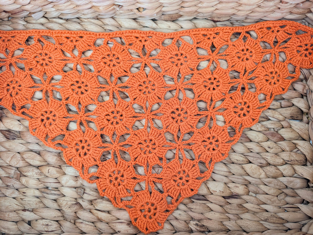 Triangle Bandana (Digital) - Project 2025-004
