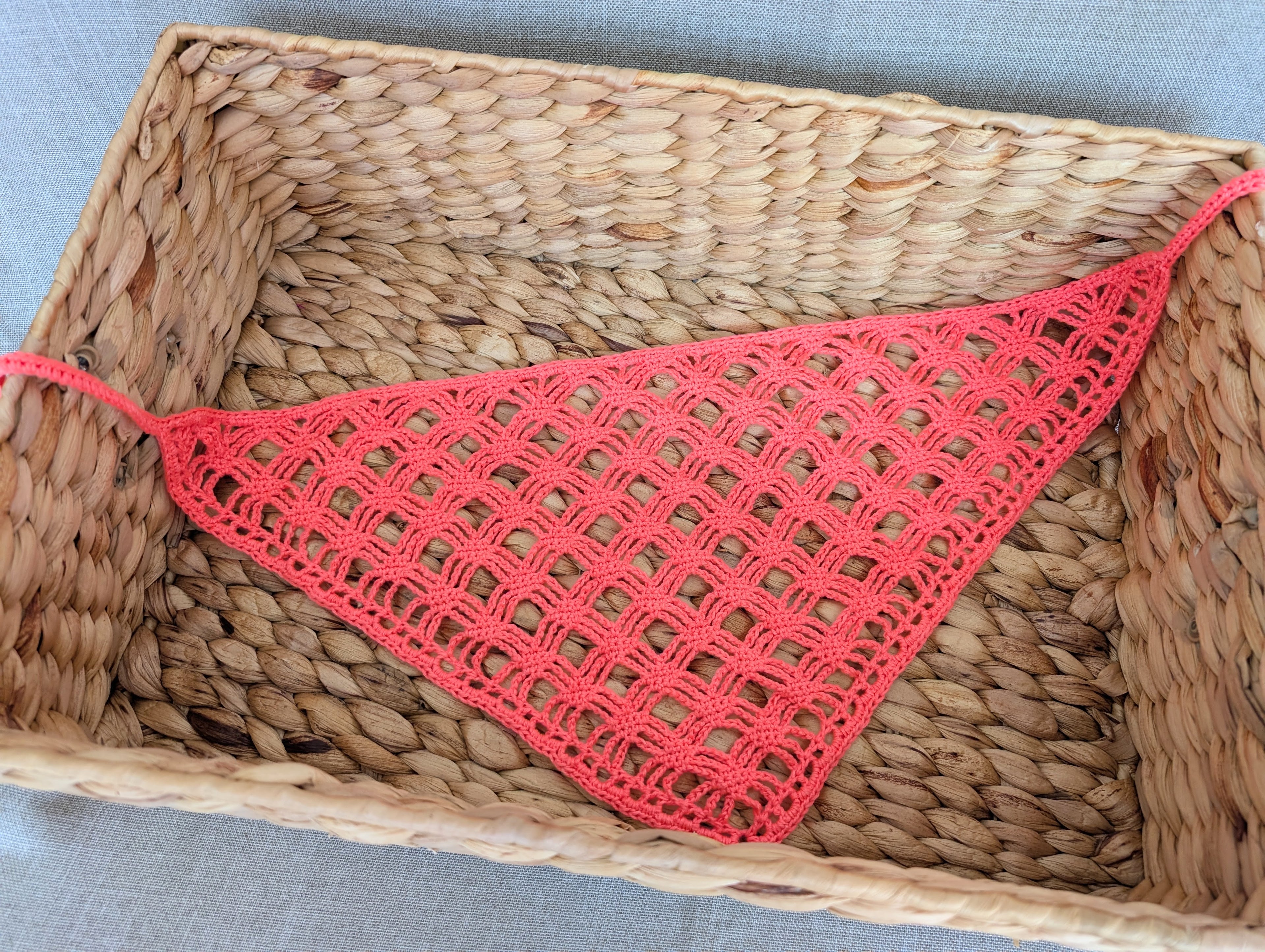 Triangle Bandana (Digital) - Project 2025-006