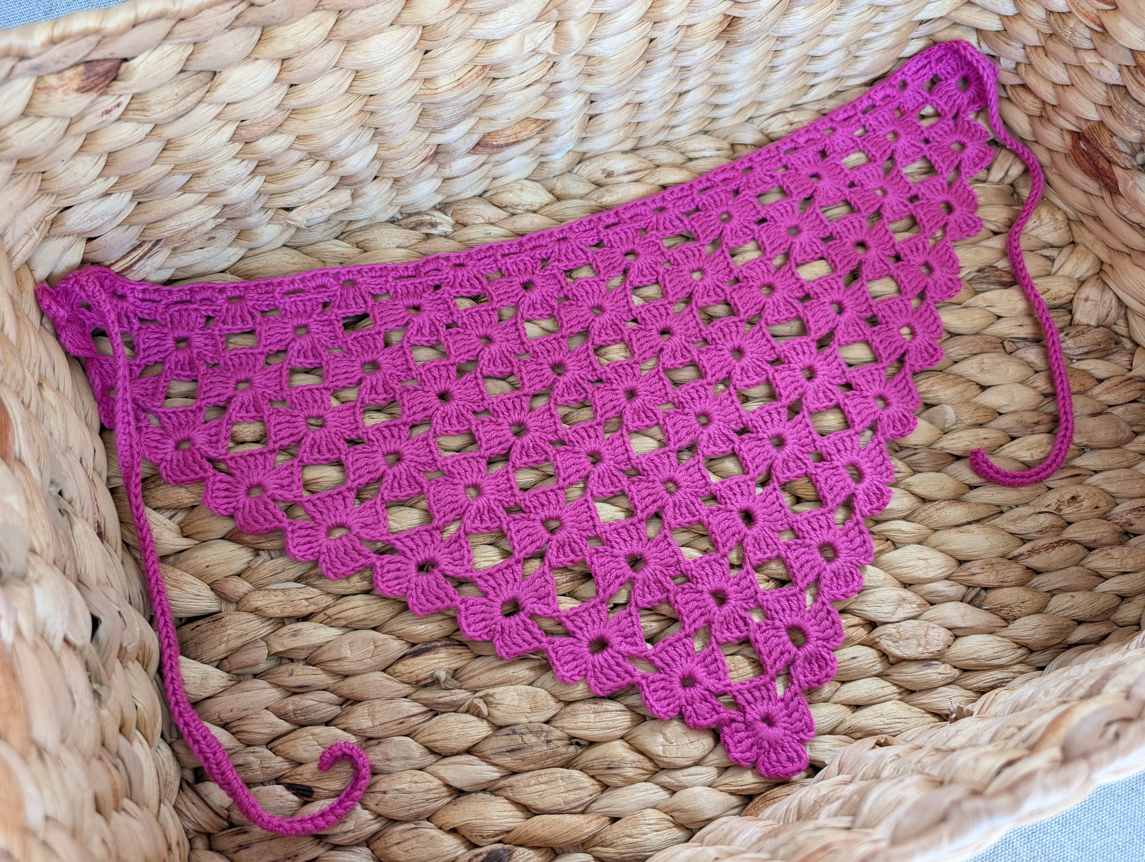Triangle Bandana (Digital) - Project 2025-009